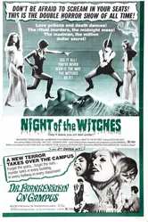 Night of the Witches постер