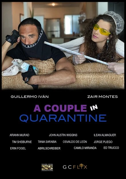 Постер A Couple in Quarantine