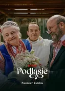Все за одного постер
