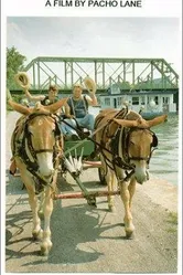 Along the Erie Canal постер