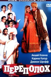 Переполох 2004 постер