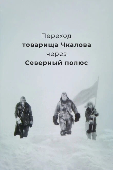 Постер Переход товарища Чкалова через Северный полюс 1990