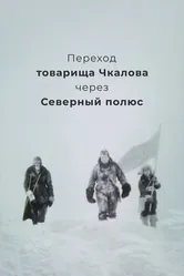 Переход товарища Чкалова через Северный полюс 1990 постер