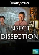 Insect Dissection: How Insects Work постер