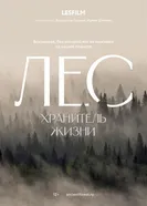 Лес. Хранитель жизни постер