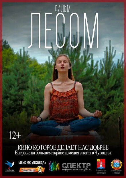 Постер Лесом 2017