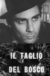 Лесорубы 1963 постер