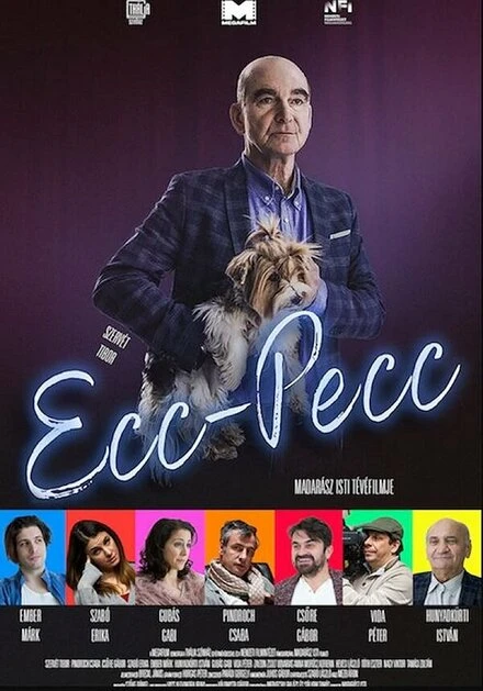 Постер ECC-PECC