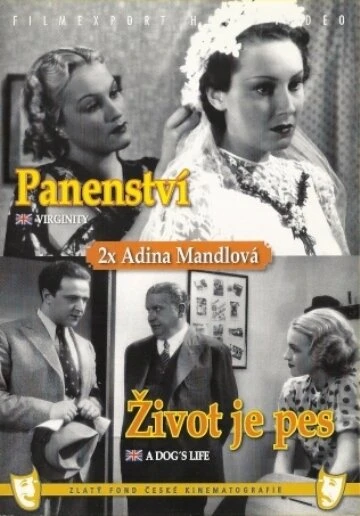 Постер Девственность 1937