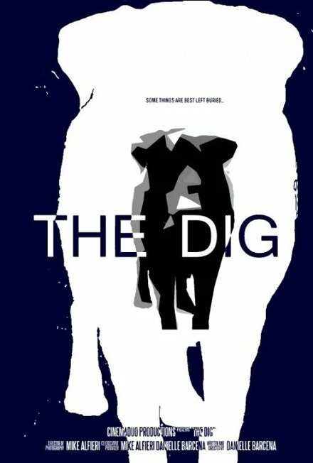Постер The Dig 2015