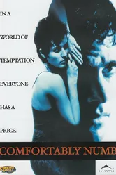 Комфортабельный номер 1995 постер