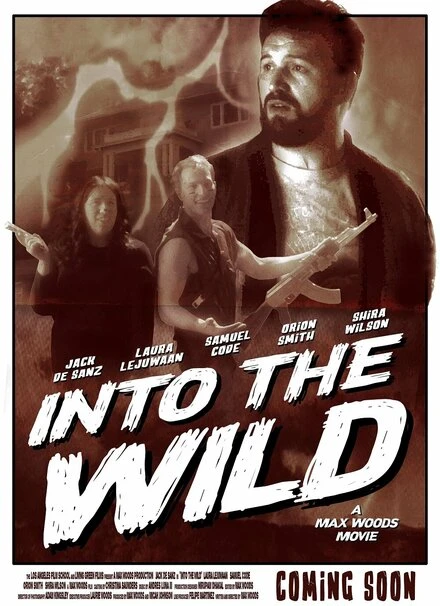 Постер Into the Wild