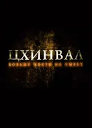 Цхинвал. Больше никто не умрет 2009 постер