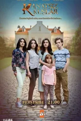 Птицы без крыльев 2017 постер