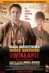 Запутанность 2011 постер