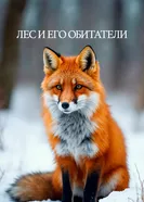 Лес и его обитатели 2021 постер
