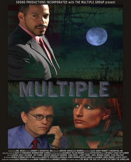 Постер Multiple 2008