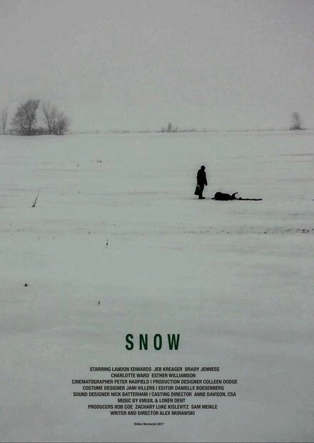 Постер Snow 2017, Австралия
