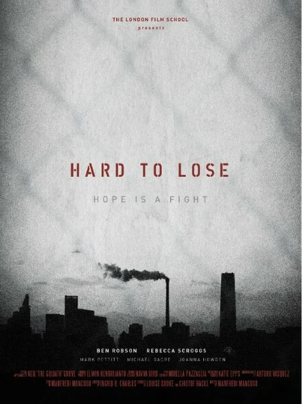 Постер Hard to Lose