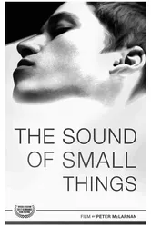 The Sound of Small Things постер