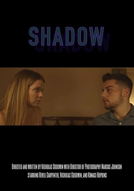 Постер Shadow 2018
