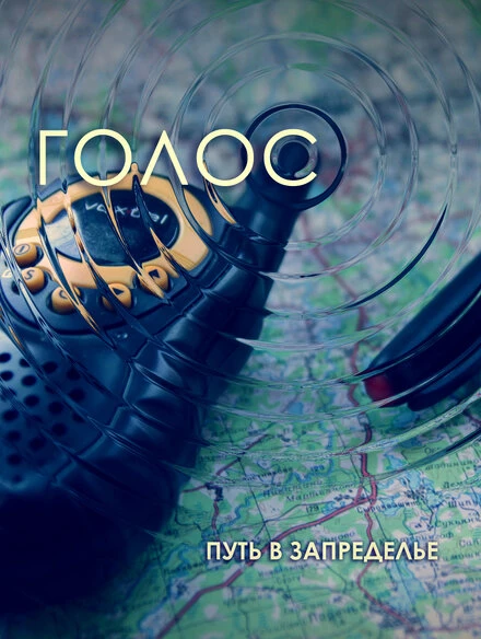 Постер Голос 2013