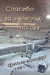 Спасибо за нелётную погоду 1981 постер