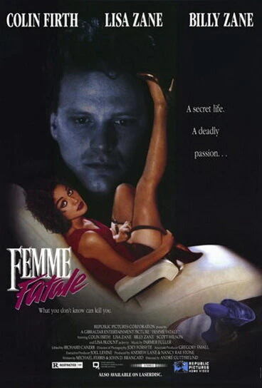 Постер Роковая женщина 1991
