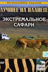 Animal Planet: Экстремальное сафари 2007 постер