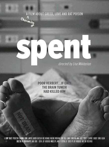 Постер Spent 2008