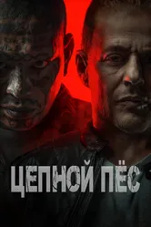 Цепной пёс 2024 постер