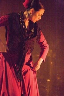 Постер Red Phoenix