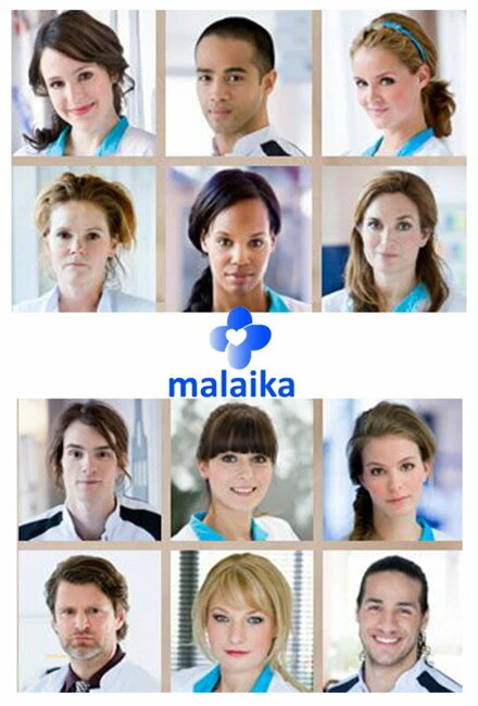 Постер Малайка 2013