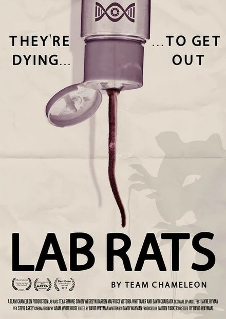Постер Lab Rats 2015