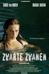 Черные лебеди 2005 постер