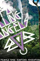 Falling Angels постер