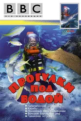 BBC: Прогулки под водой 1991 постер