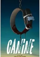 Canine постер