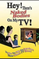 Hey! There's Naked Bodies on My TV! постер