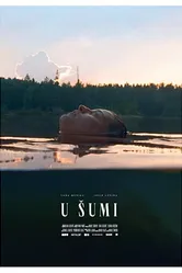 U sumi постер