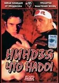 Постер Ниндзя что надо! 2002