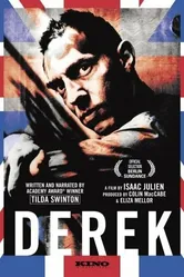 Дерек 2008 постер