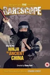 Ниндзя в древнем Китае 1993 постер