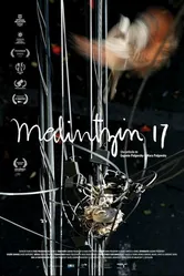 Малинсин 17 2022 постер