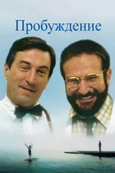 Пробуждение 1990, США постер
