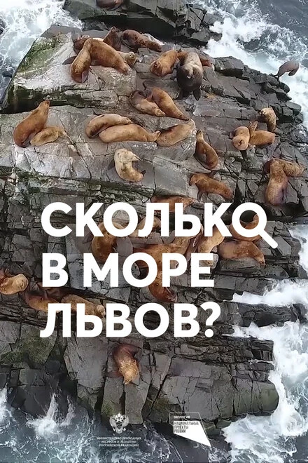 Постер Сколько в море львов? 2018