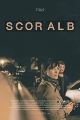 Scor Alb постер