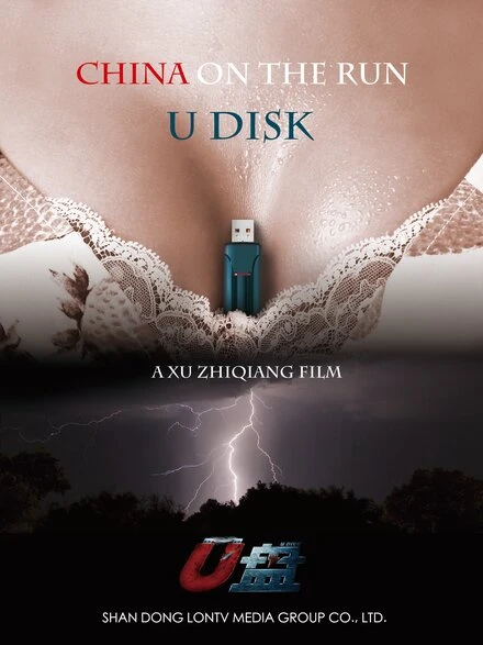 Постер Флешка 2014