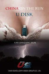 Флешка 2014 постер