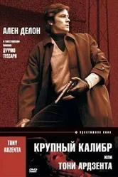 Крупный калибр 1973 постер